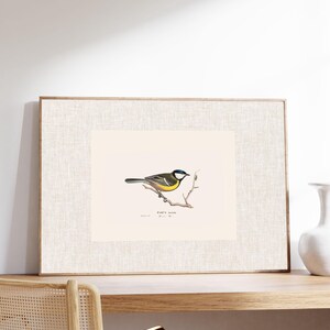 Antique bird prints set of 6, featuring vintage botanical illustrations perfect for a gallery wall. Farmhouse wall art style, ideal canvas art for living room wall decor. Printed and shipped.