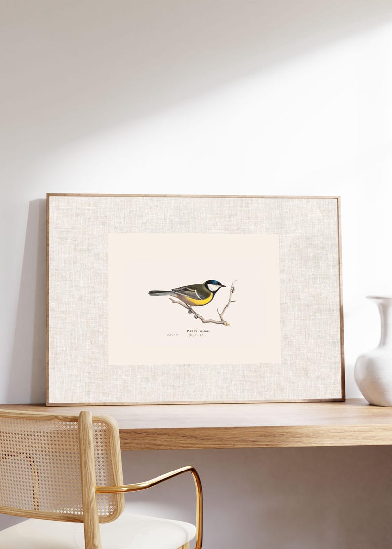 Antique bird prints set of 6, featuring vintage botanical illustrations perfect for a gallery wall. Farmhouse wall art style, ideal canvas art for living room wall decor. Printed and shipped.