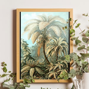 Impresión de palmeras, póster vintage de Ernst Haeckel, ilustración de palmeras, arte mural tropical, arte mural vintage, gráfico mural de palmeras, arte de la jungla