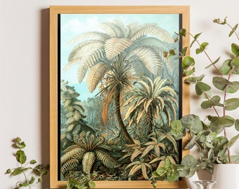 Palm tree print, Vintage Ernst Haeckel poster, Palm tree illustration, Tropical wall art, Vintage wall art, Palm tree wall chart, Jungle art