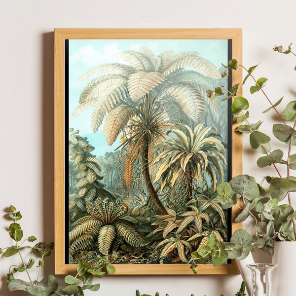 Impression de palmier, affiche vintage d'Ernst Haeckel, illustration de palmier, art mural tropical, art mural vintage, tableau mural palmier, art de la jungle