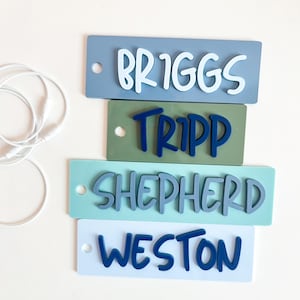 May include: Four rectangular name plaques in shades of blue and green. Each plaque features a different name in a contrasting color: Briggs, Tripp, Shepherd, and Weston. Each plaque has a small hole on the left side.