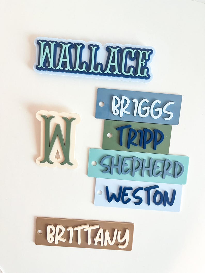 Puede incluir: Una colecci&oacute;n de etiquetas con nombres en varios colores, incluyendo azul, verde y marr&oacute;n. Los nombres "Wallace", "Briggs", "Tripp", "Shepherd", "Weston" y "Brittany" se muestran en una fuente juguetona. Tambi&eacute;n hay una gran letra "W".