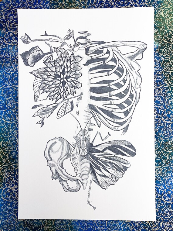 Floral Rib Cage Print Pencil Drawing Art Print Floral Art Etsy