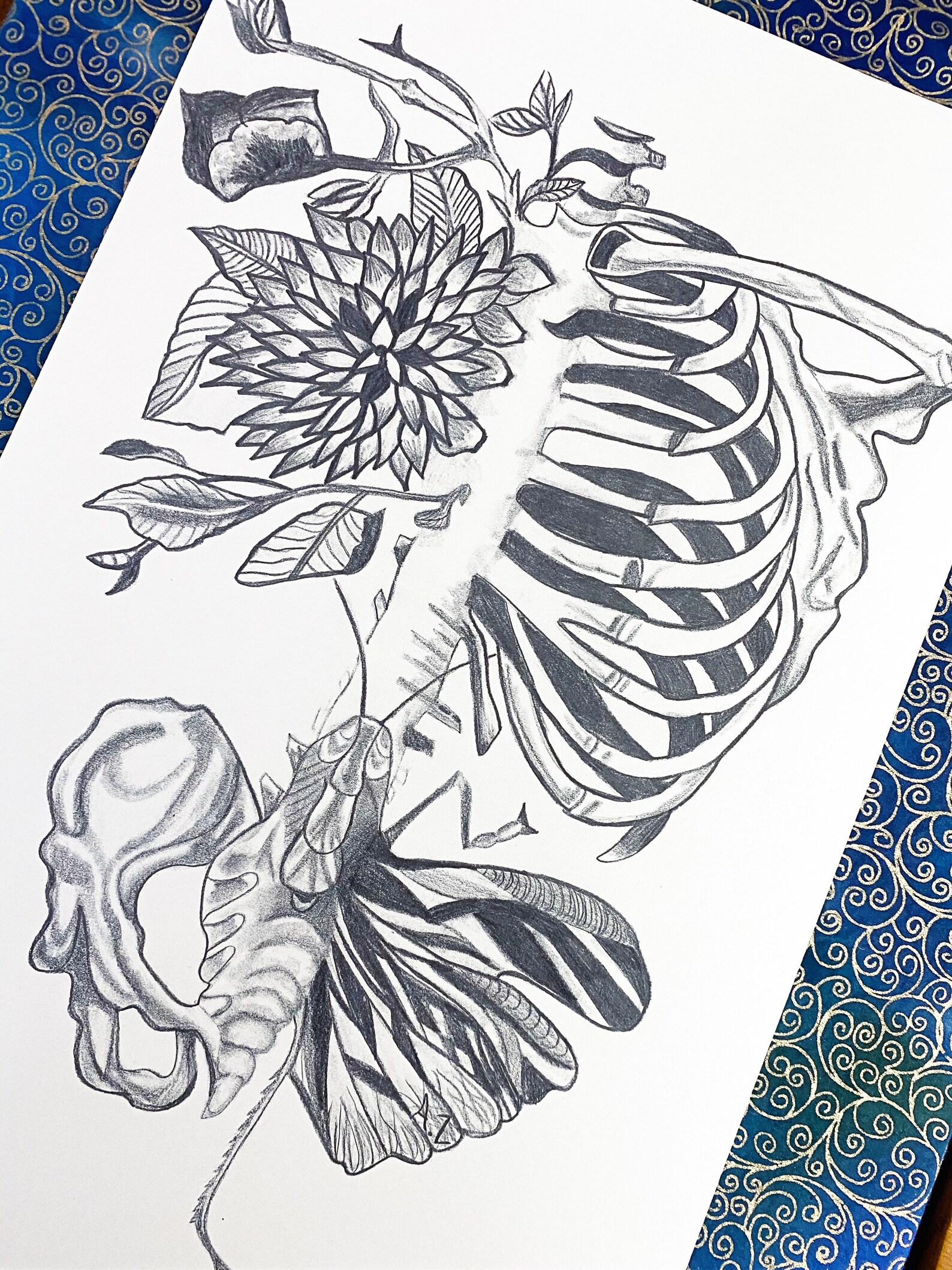 Floral Rib Cage Print Pencil Drawing Art Print Floral Art Etsy