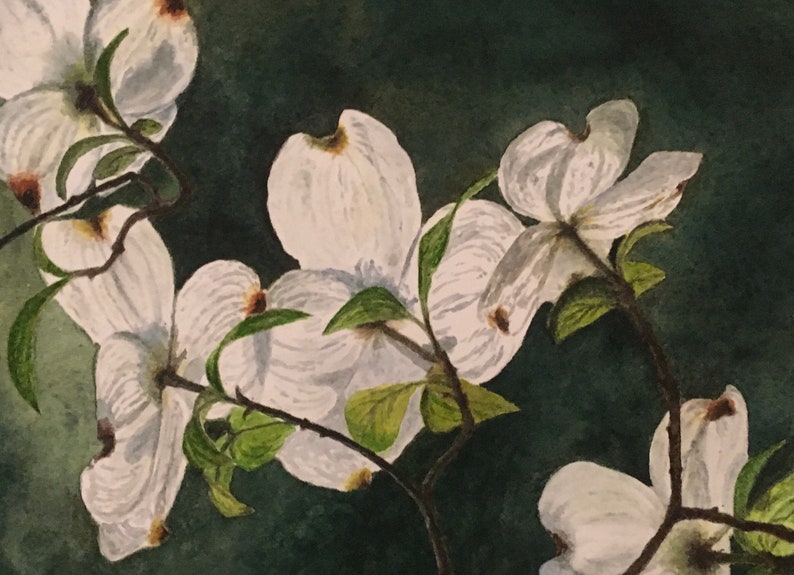 Dogwoods watercolor print