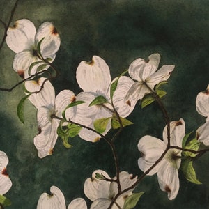 Dogwoods, watercolor print