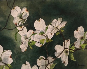 Dogwoods, watercolor print