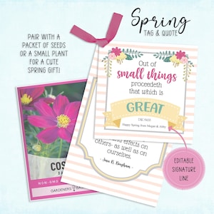 Lo que es genial / Conjunto de ministración / Cita de las Escrituras SUD / Tarjeta de ministración SUD / Imprimible de primavera / Etiqueta de regalo de primavera