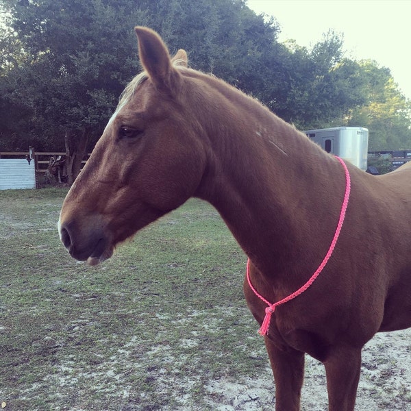 Horse Neck Rope Etsy