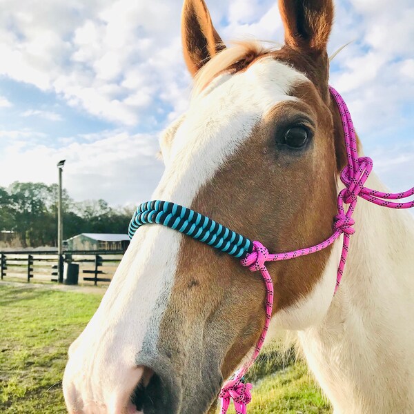 Paracord Halter - Etsy