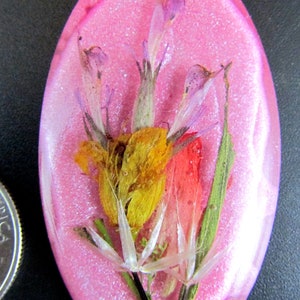 Beautiful Authentic Dried Desert Flowers in Resin with Opalescent Pink/Red Background - Oval Shaped Jewelry Cabochon