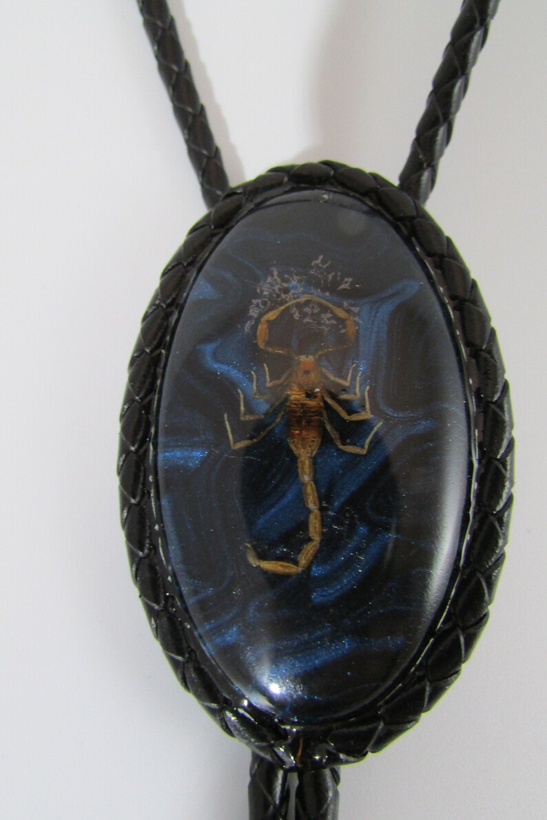 41 Authentic Arizona Bark Scorpion Bolo Tie on BlueBlack Swirl Background with Black Braided Leather Cording