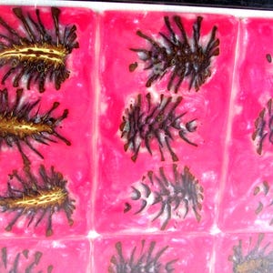 Stabilized Pine Cone and Resin Art Wall Hanging - Beautiful Opalescent Pink Slices!