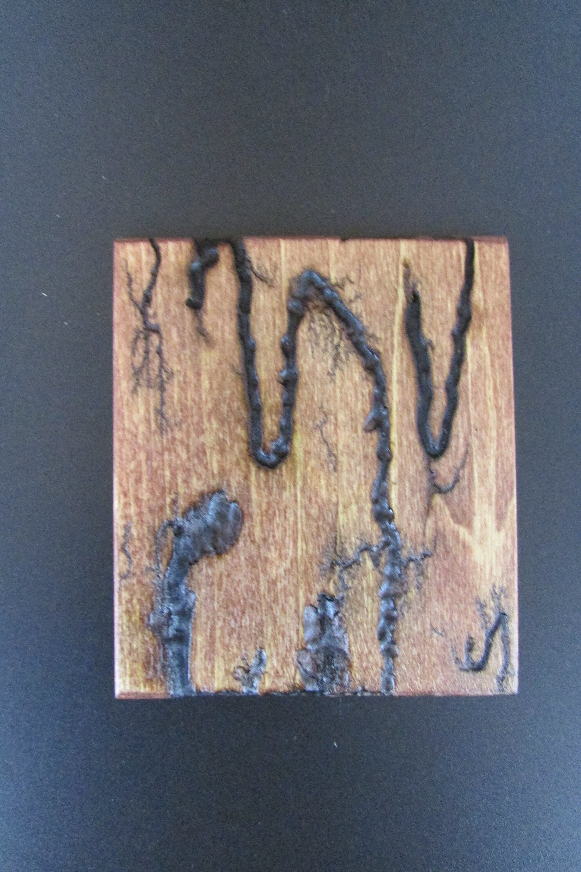 Lichtenberg Wood Burning System – PREMIUM PLUS The Lightning Box Model #457  & #464