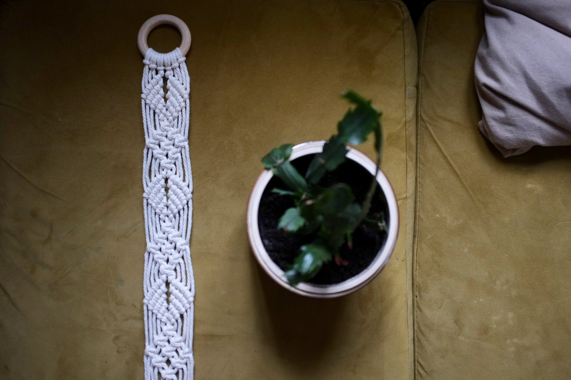 Suspension Pour Plantes en Macramé || Jungle Urbaine | Déco Naturelle - 100% Coton & Bois Modèle Nou