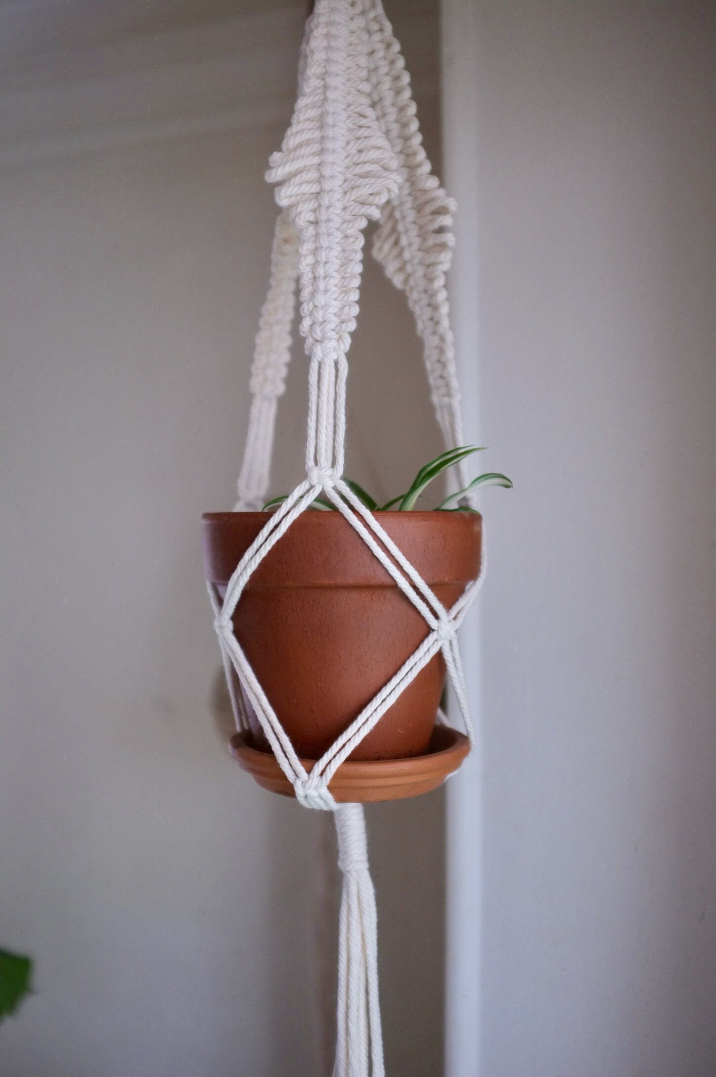 Suspension Macramé Pour Plantes || Modèle Fougères