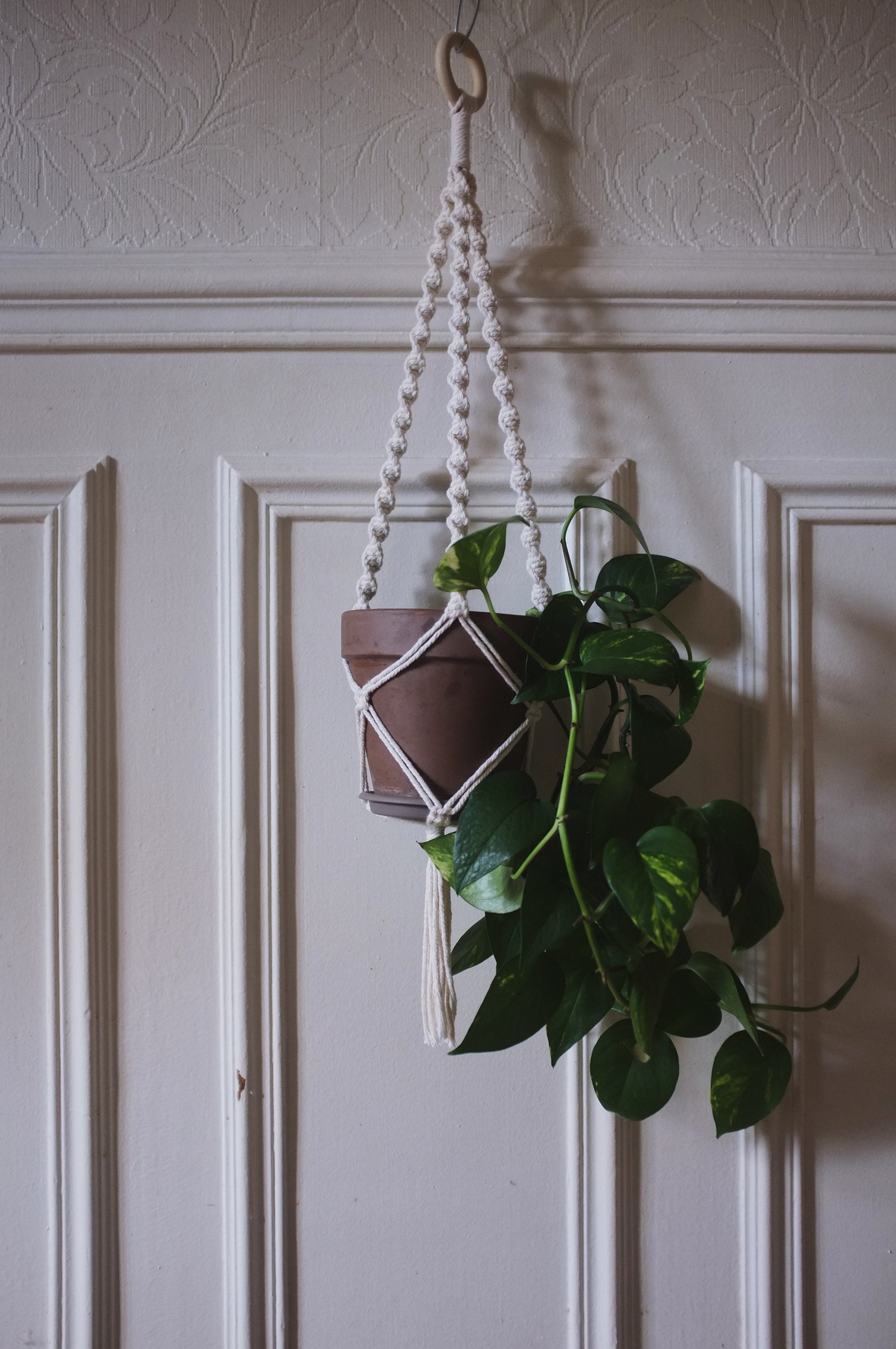 Suspension Macramé Pour Plante || Noeud Torsadé