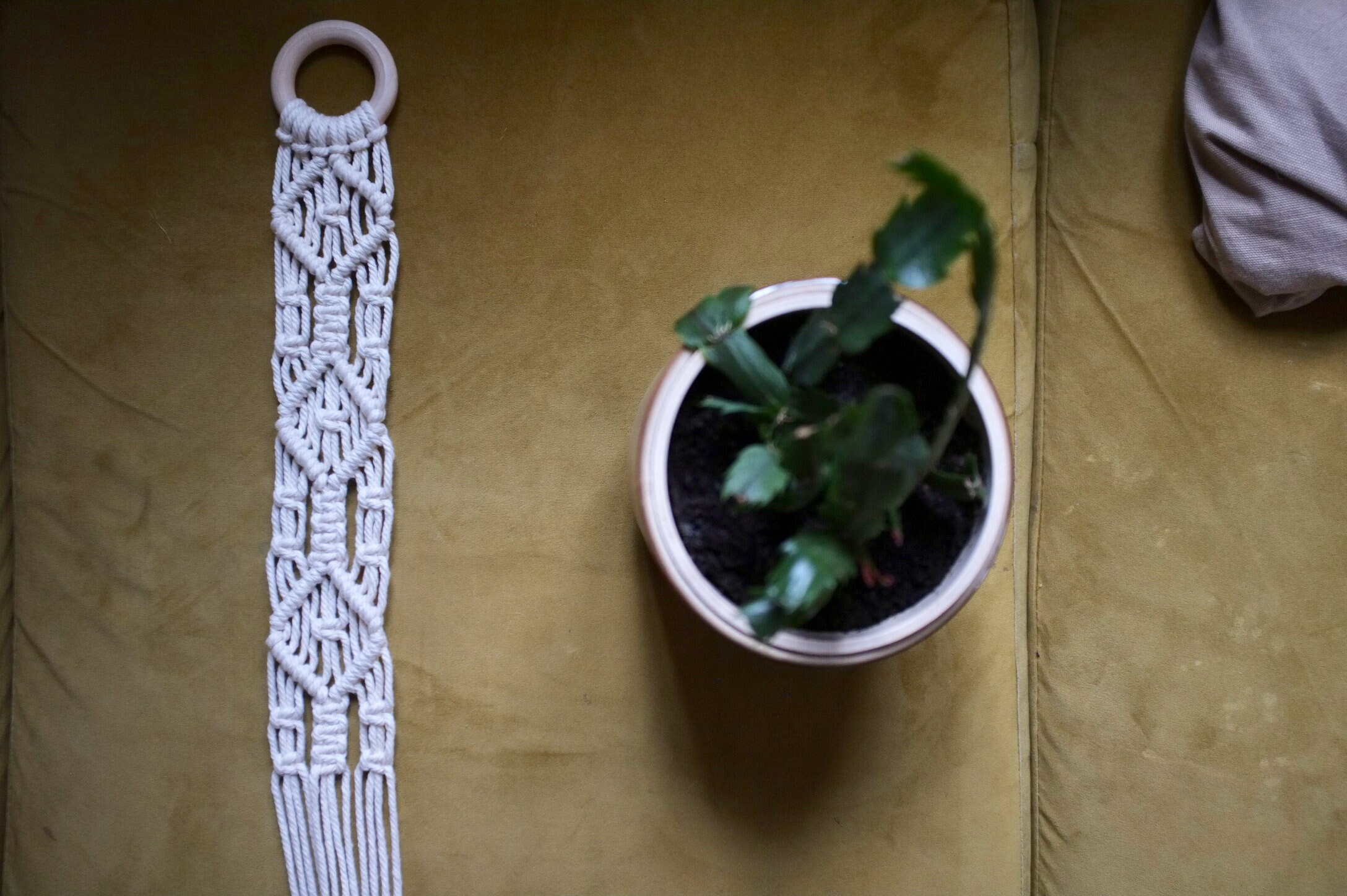 Suspension Macramé Plantes || Jungle Urbaine | Déco Naturelle - 100% Coton & Bois Modèle Eeca