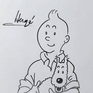 The adventures of Tin Tin comic art illustration, Herge artwork, Georges Remi art, Tintín and Snowy  Les Aventures de TinTin, artwork
