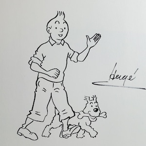 The adventures of Tin Tin comic art illustration, Herge artwork, Georges Remi art, Tintín and Snowy  Les Aventures de TinTin, artwork