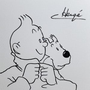 The adventures of Tin Tin comic art illustration, Herge artwork, Georges Remi art, Tintín and Snowy  Les Aventures de TinTin, artwork