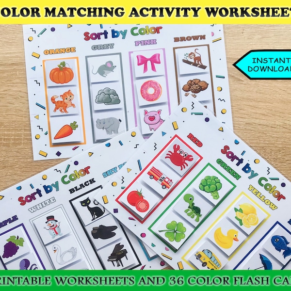 Color Matching Game, Busy Book Printable, Educational Activity, Homeschool Worksheet, Busy Binder for Toddlers, Montessori Color