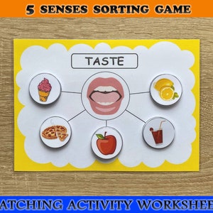 Five Senses Sorting Activity Printable, 5 Senses Sorting, Homeschool ...