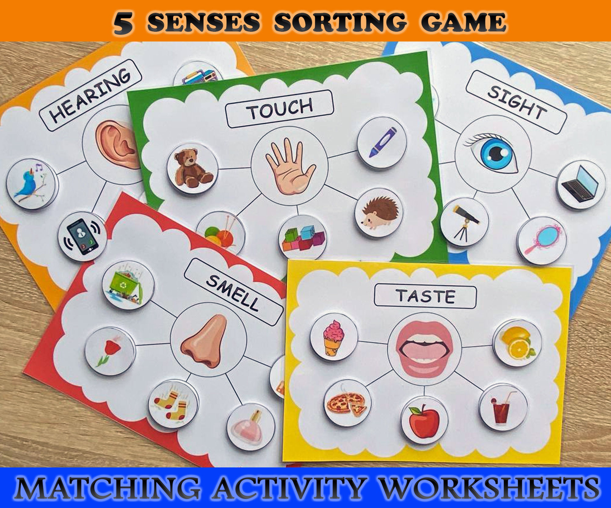 Five Senses Sorting Activity Printable Senses Sorting | stickhealthcare ...