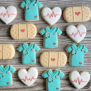 Mini Nurse/Dr Decorated Sugar Cookies