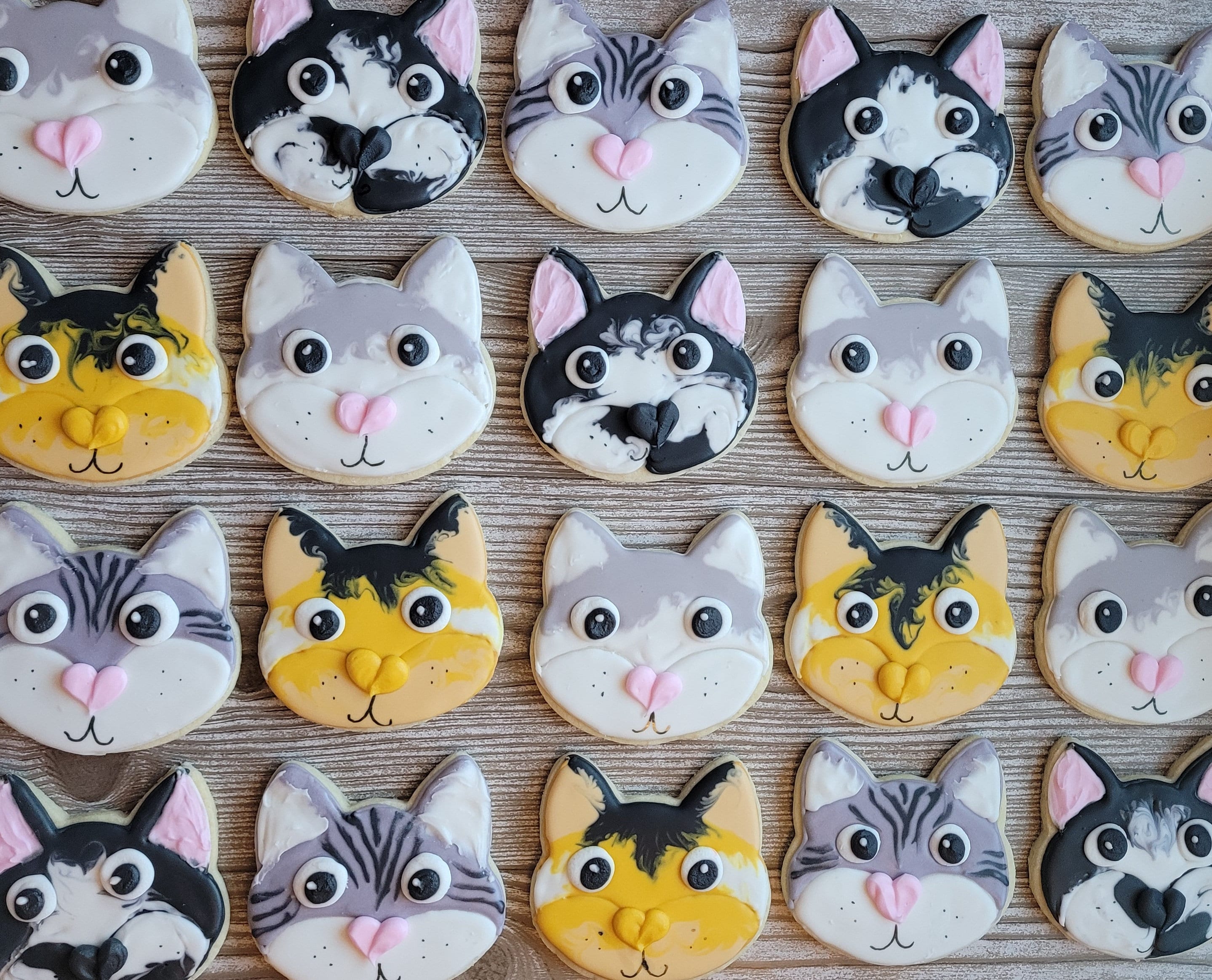 Cats and cookies 2025