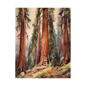 California Redwood Forest Print, Sequoia National Park Trees Painting Art Poster Woodland Forest Wall Art