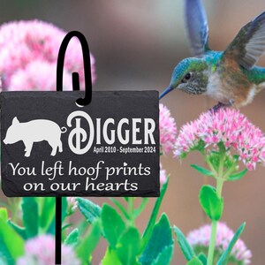 Personalized Baby Pig Memorial Stone: Laser Engraved Slate Garden Marker with Stand