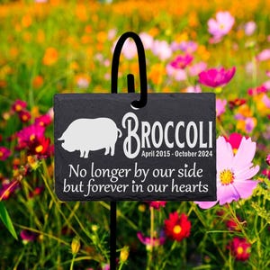 Personalized Pot Belly Pig Memorial Slate Stone with Metal Stand