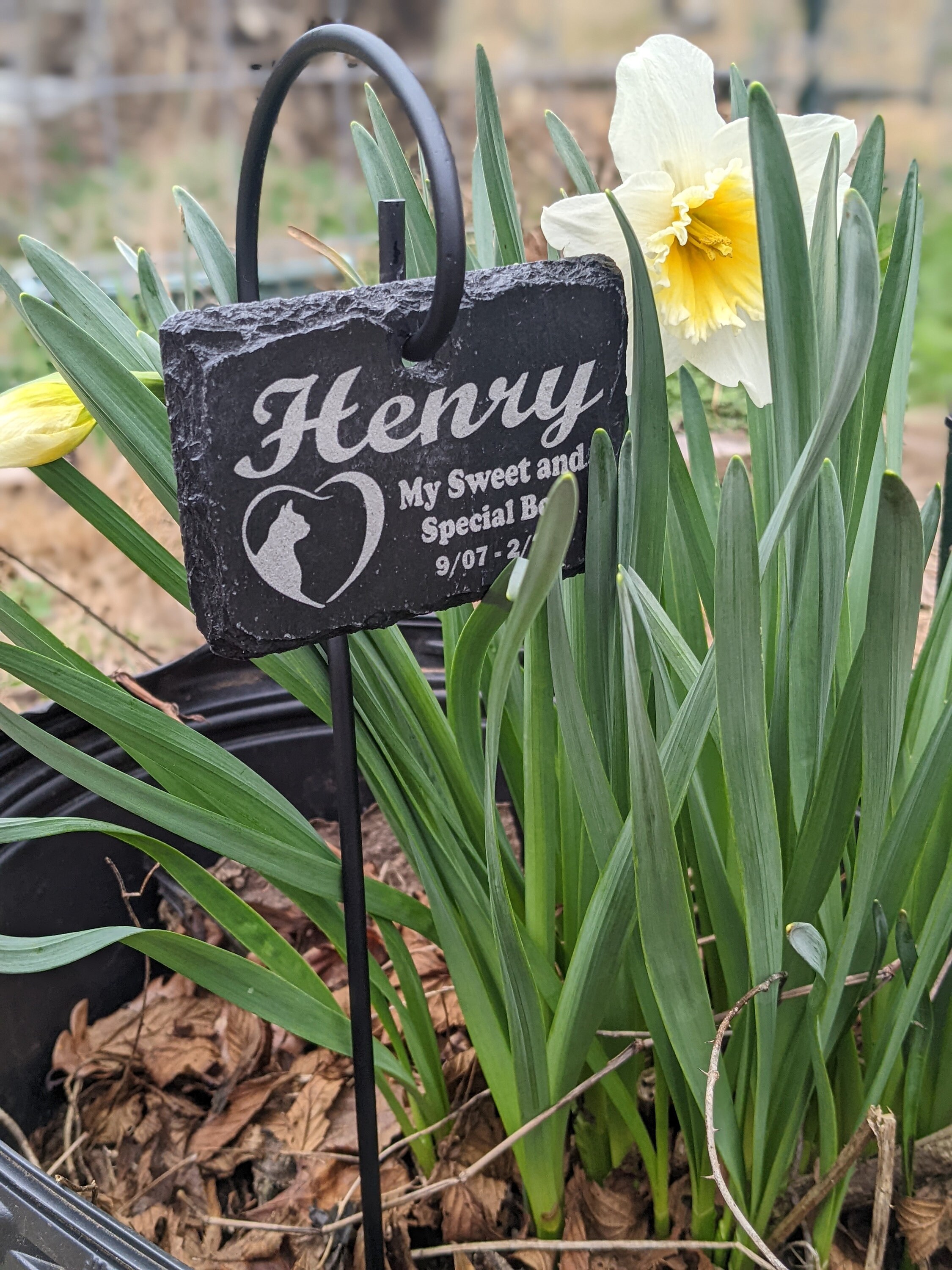 Personalized Beagle Memorial Slate Stone: Laser Engraved Pet Gravestone ...