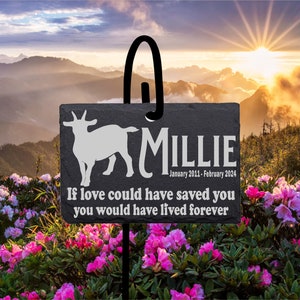 Pick Your Goat Memorial Stone Sign with Shepherd&#39;s hook Garden Marker Personalized Laser Engraved SLATE Gravestone with Stand.
