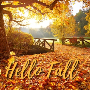 Well Hello Fall Hello Fall Printable Artwork | Fall Downloadable Art | Fall ...