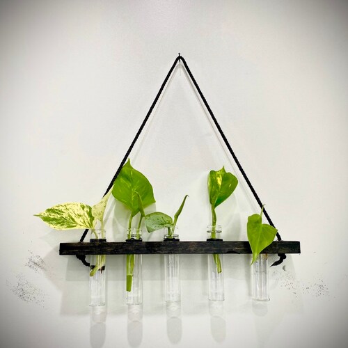 Bamboo/wood Wall Hanging Propagation Vase Etsy