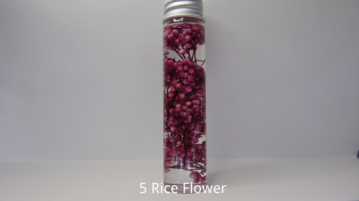 Dried Australian Native Flowers, Dried Australian Wild Flowers