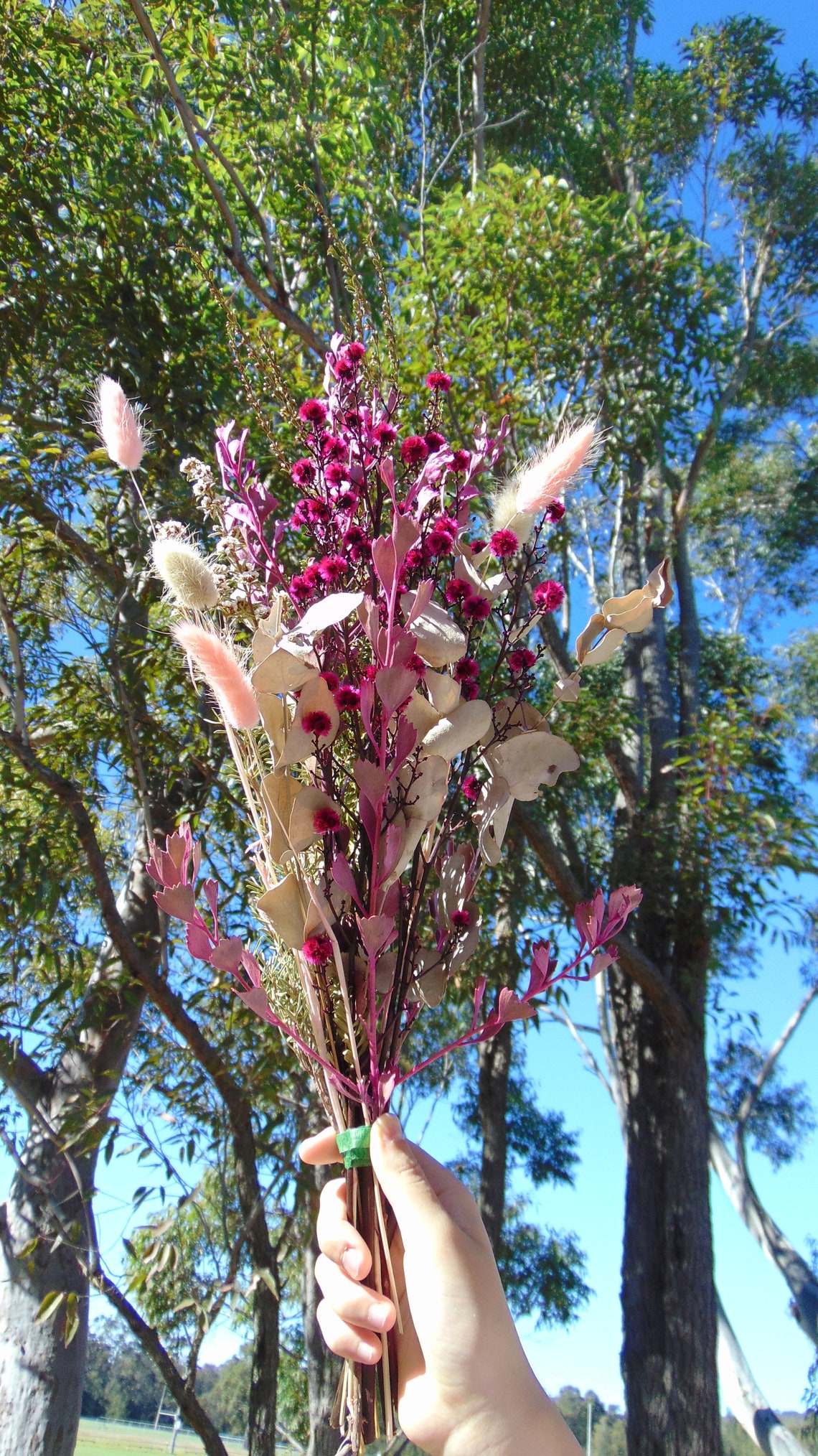 Dried Australian Native Flower bouquet. Dried Australian Wild Etsy