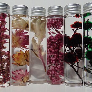 Dried Australian Native Flowers, Dried Australian Wild Flowers. Preserved flowers. Herbarium. Flower in Bottle. Dried Flowers.