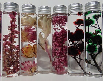 Dried Australian Native Flowers, Dried Australian Wild Flowers. Preserved flowers. Herbarium. Flower in Bottle. Dried Flowers.