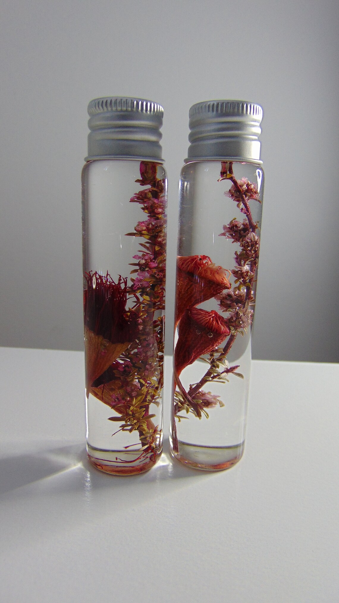 Set of 2. Dried Australian Native Flowers, Dried Australian Wild