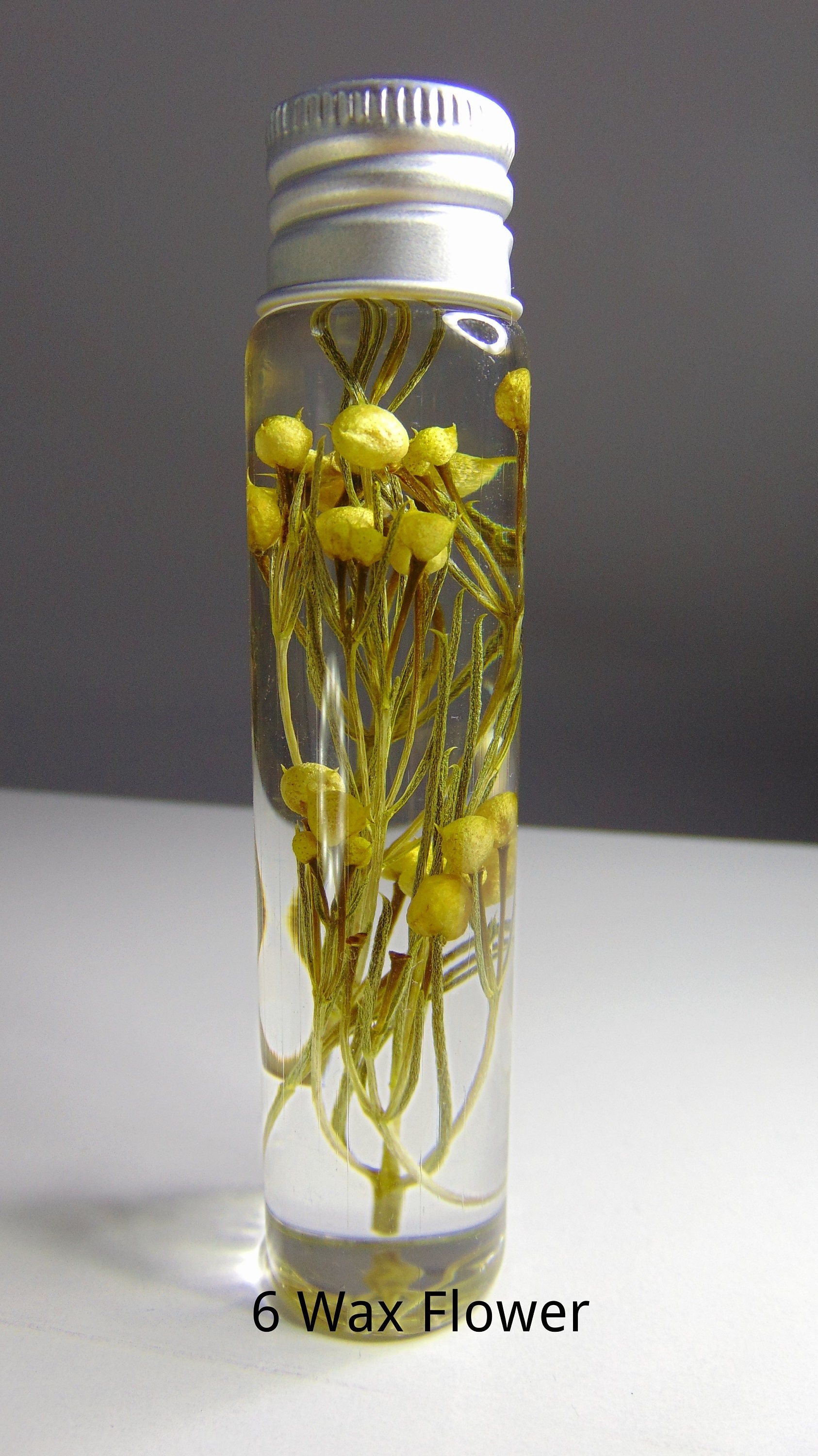 Dried Australian Native Flowers, Dried Australian Wild Flowers