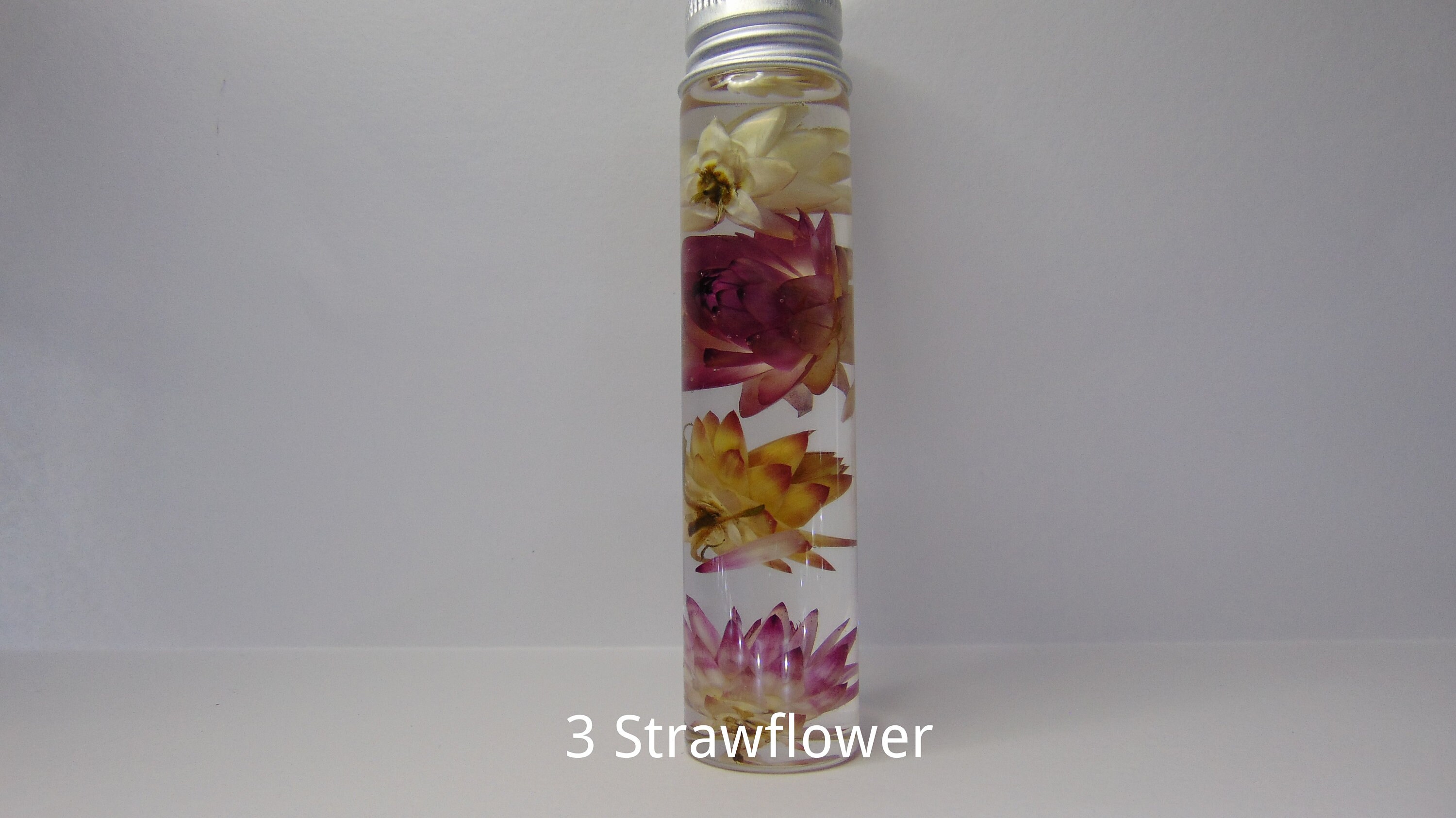 Dried Australian Native Flowers, Dried Australian Wild Flowers
