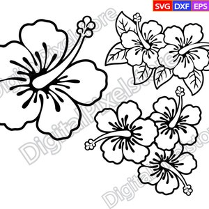 Hibiskus, Hibiskus Umriss, tropische Blumen, Blumen, Blumen, Blumen, Hawaii, Hawaii, Silhouette, Png, Eps, Dxf, Vektor, digitaler Download