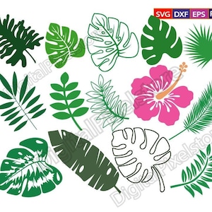 Tropical Leaves SVG Bundle: Palm, Hibiscus, Jungle Foliage (Digital Download)