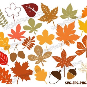 Herbst Blätter SVG Bundle, Herbst Blätter svg, Herbst svg, Herbst Blatt svg, Herbst Blätter svg, Herbst Blatt svg glowforge,clipart,kontur,png,eps,vector