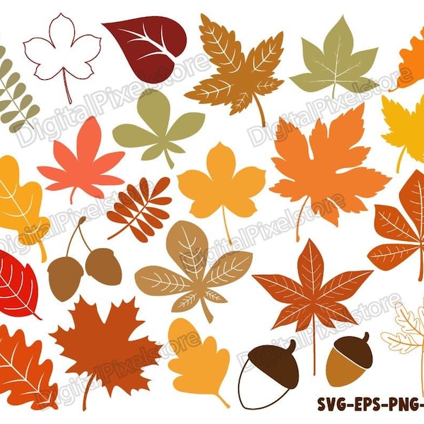 Fall Leaves Svg Bundle,Fall Leaves Svg,Fall svg,Fall leaf svg,Autumn leaves svg,fall leaf svg glowforge,clipart,silhouette,png,eps,vector