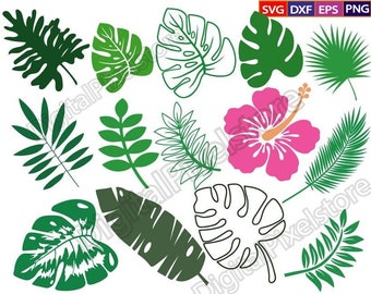 Tropical Leaves SVG Bundle: Palm, Hibiscus, Jungle Foliage (Digital Download)